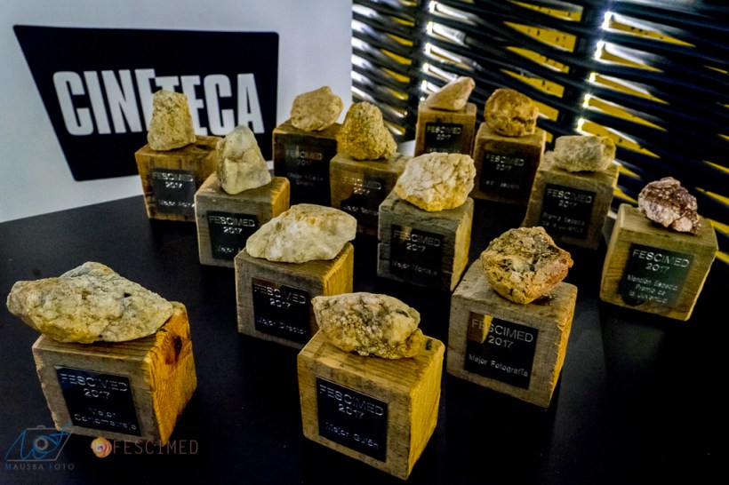 FESCIMED - GALA CLAUSURA -5